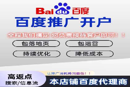 行业报告：专业SEM托管的成功实践与挑战